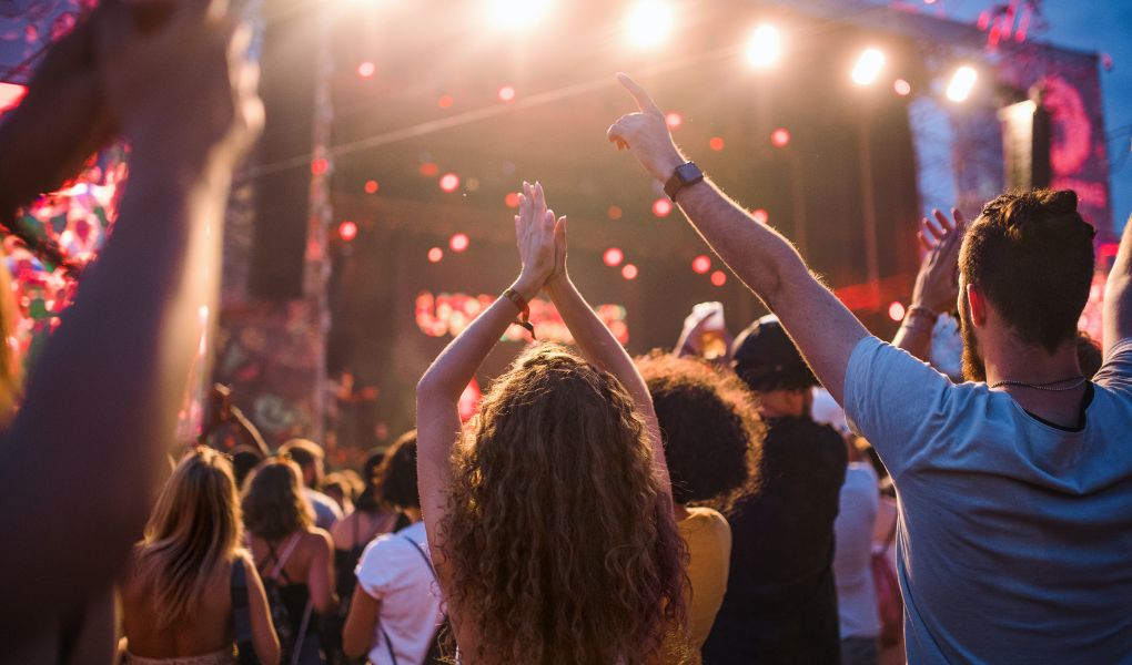 People at an outdoor concert