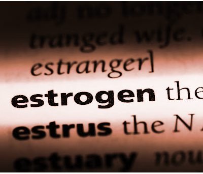 Picture of the word estrogen in a dictionary