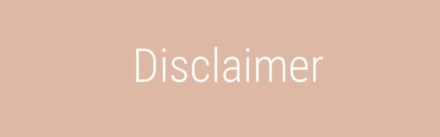 That's So Perfect's Disclaimer Policy